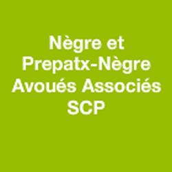 Nègre Et Pepratx-nègre Avoués Associés Scp