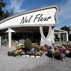 Nel Fleur