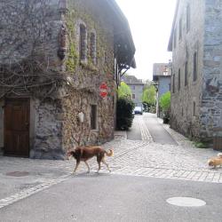Nernier