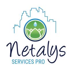 Netalys Services