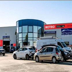 Netauto Services - Motrio -