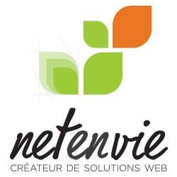 Agence Web Netenvie