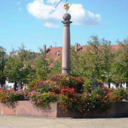 Neuf Brisach