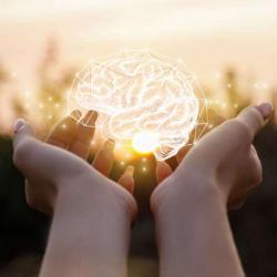 Neurobreizh