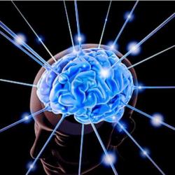 Neurofeedback/hypnose - Neuronotop
