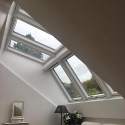 Ng Services Sarl Expert Velux Sarthe