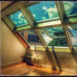 Ng Services Velux