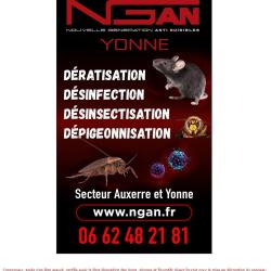 Ngan