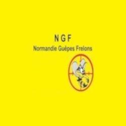 Ngf Normandie Guêpes Frelons