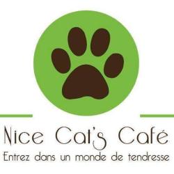 Nice Cat's Café