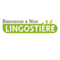 Carrefour Nice Lingostière