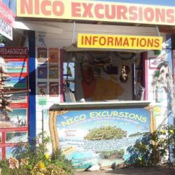 Nico Excursions