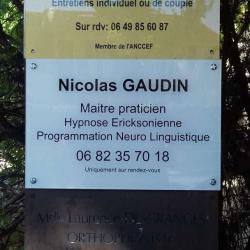 Nicolas Gaudin