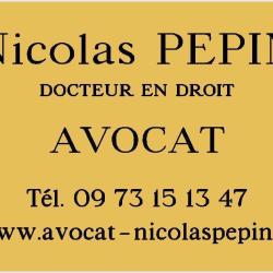Nicolas Pepin