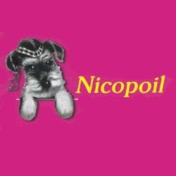Nicopoil