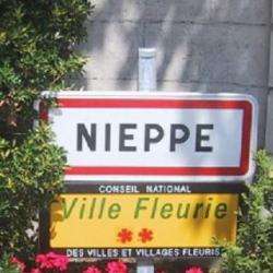 Nieppe