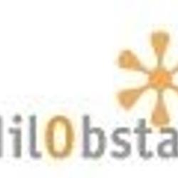 Nilobstat