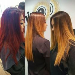 Nine Coiffeur