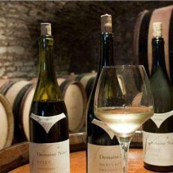 Ninot Domaine