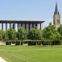 Niort Immo