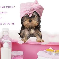 Toilettage Canin "no Poils"