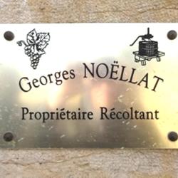 Noellat Georges Vignoble