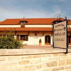 Noellat
