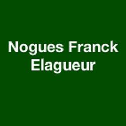 Nogues Franck