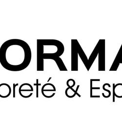 Normanet