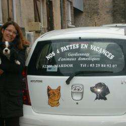 Nos 4 Pattes En Vacances