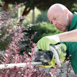 Nottingham Hedge Trimming