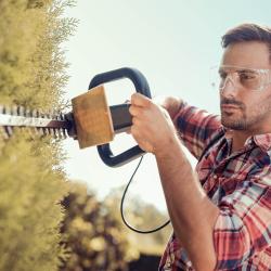 Nottingham Hedge Trimming