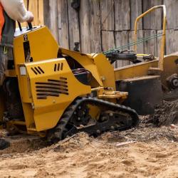 Nottingham Stump Grinding