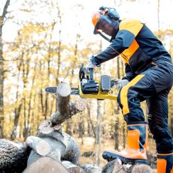 Nottingham Tree Removal