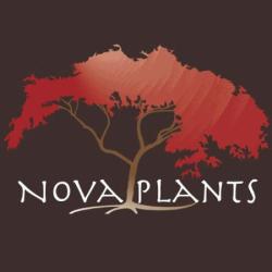 Nova Plants