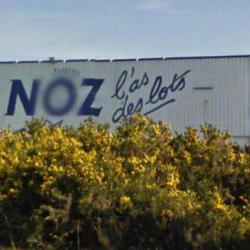 Noz
