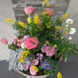 Nuances Fleuriste Gambetta