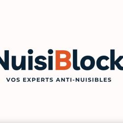 Nuisiblock Lyon - Dératisation | Désinsectisation | Punaises De Lit
