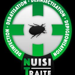 Nuisitraite