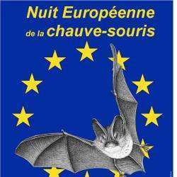 Nuit De La Chauve-souris