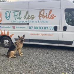 O' Fil Des Poils