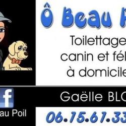 ô Beau Poil