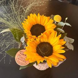 O Fleurs De Lys