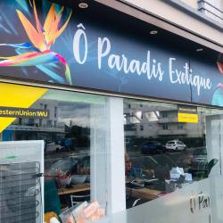 ô Paradis Exotique