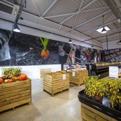 O'producteurs