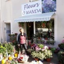 Fleurs O Wanda