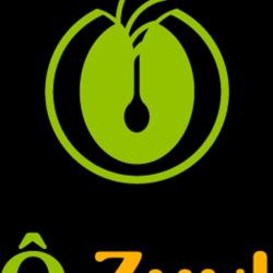 ôzuyl