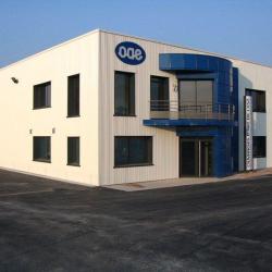 Oae