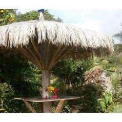Oasis De Wayat