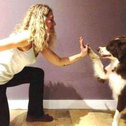 Objectif Chiens